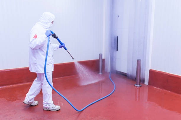 Trusted Peabody, KS Pressure Washing Services Experts